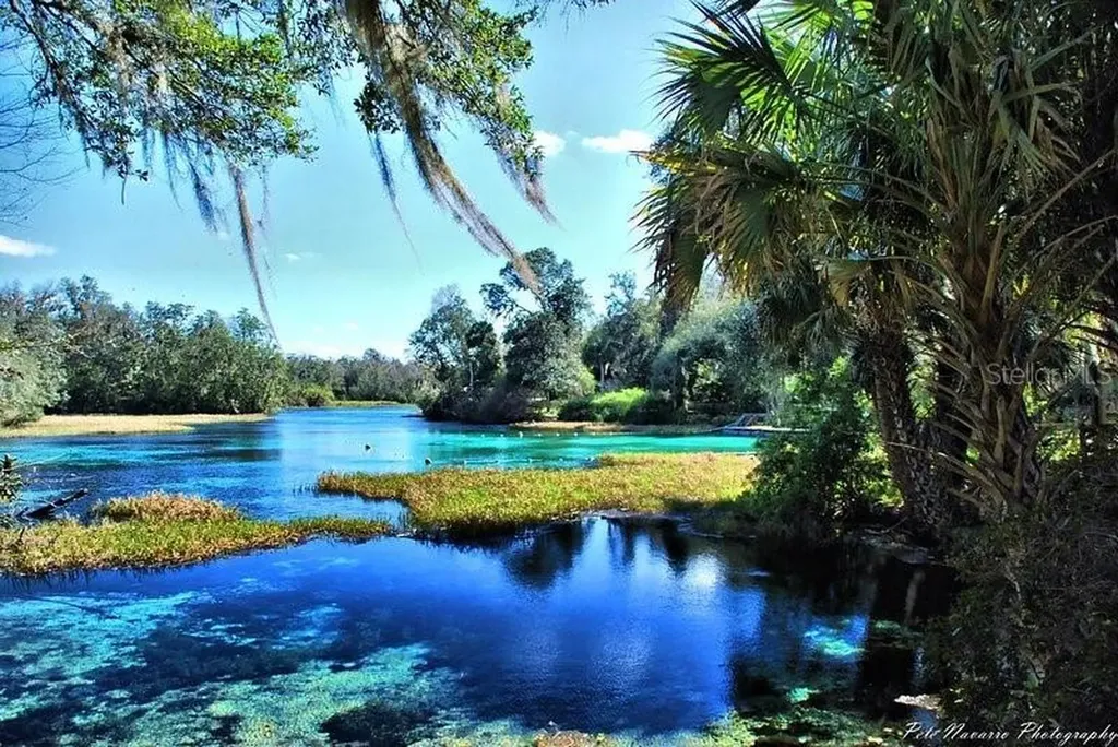 SW Half Moon Drive Dunnellon FL 34431