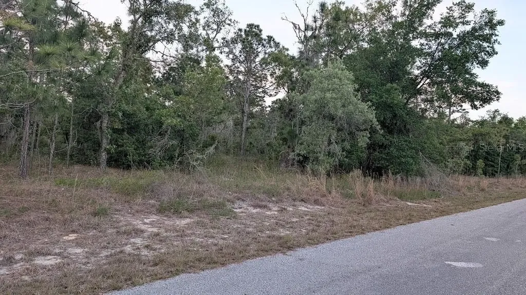 SW Half Moon Drive Dunnellon FL 34431