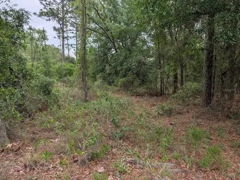 SW Half Moon Drive Dunnellon FL 34431