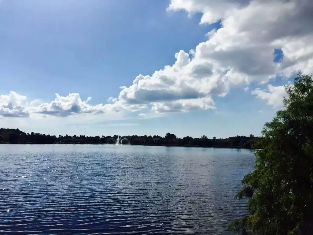 9020 Lake Chase Island Way Tampa FL 33626