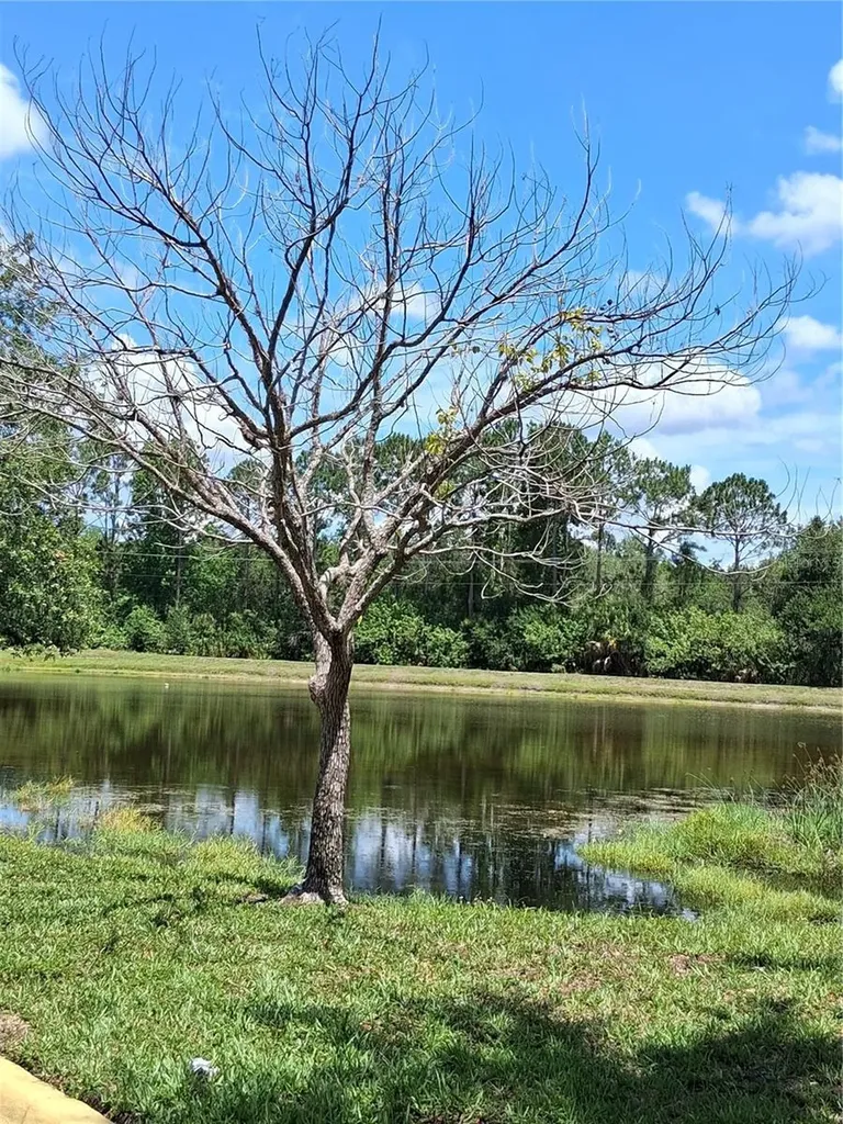 9020 Lake Chase Island Way Tampa FL 33626
