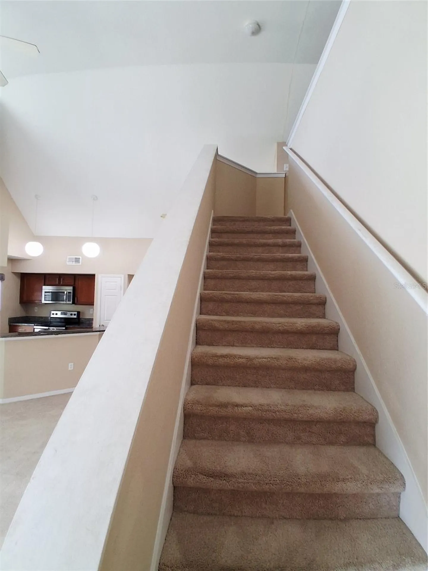 9020 Lake Chase Island Way Tampa FL 33626
