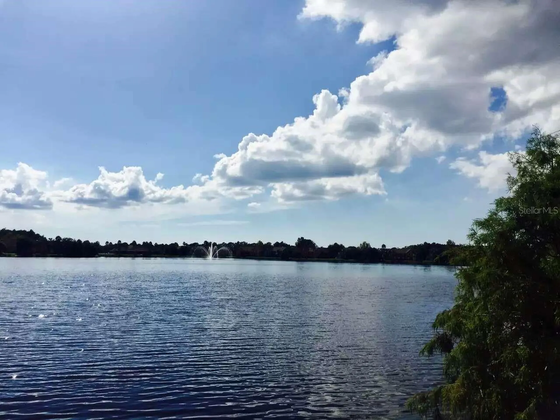 9020 Lake Chase Island Way Tampa FL 33626
