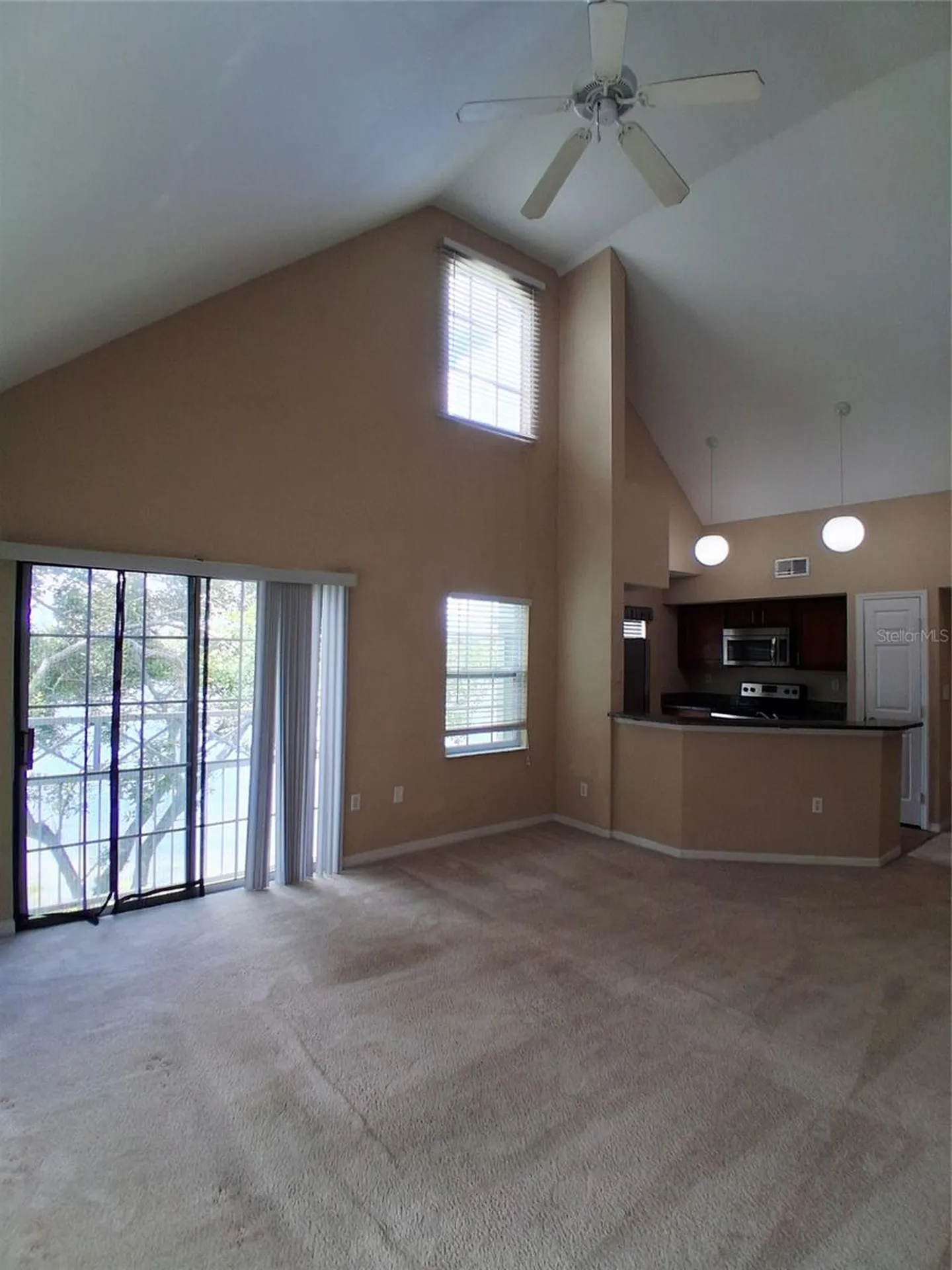 9020 Lake Chase Island Way Tampa FL 33626