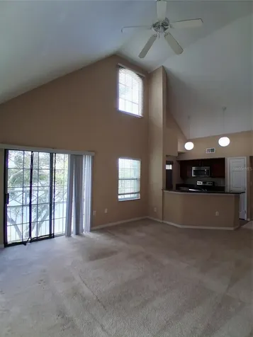 9020 Lake Chase Island Way Tampa FL 33626