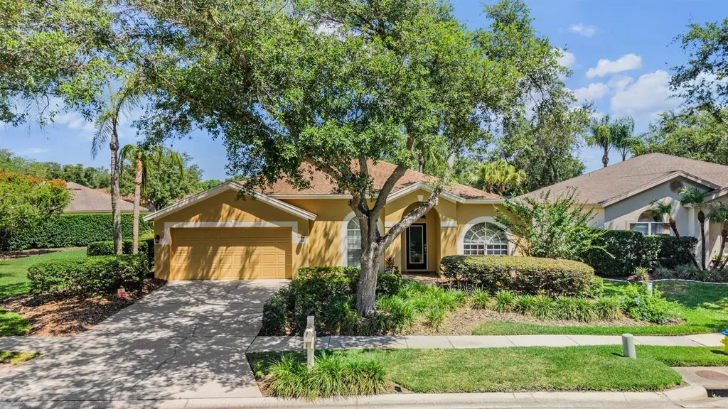 9459 Hunters Pond Drive Tampa FL 33647