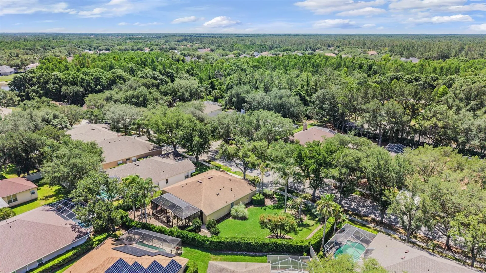 9459 Hunters Pond Drive Tampa FL 33647