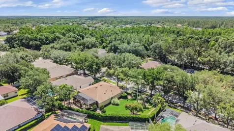 9459 Hunters Pond Drive Tampa FL 33647