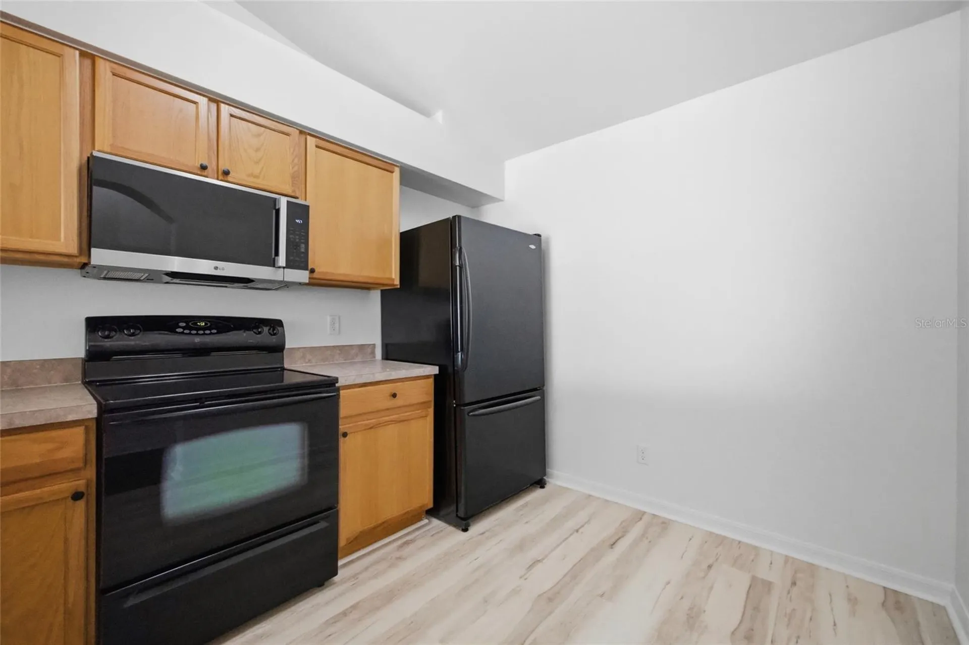 13307 Ashbark Court Riverview FL 33579