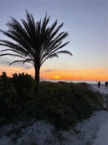 880 Mandalay Avenue Clearwater Beach FL 33767