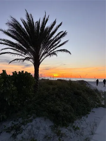 880 Mandalay Avenue Clearwater Beach FL 33767
