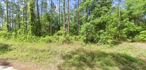 0 NE 156 Place Fort Mc Coy FL 32134