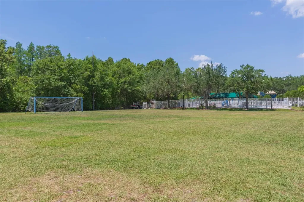 5315 Spectacular Bid Drive Wesley Chapel FL 33544