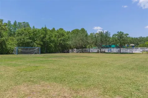 5315 Spectacular Bid Drive Wesley Chapel FL 33544