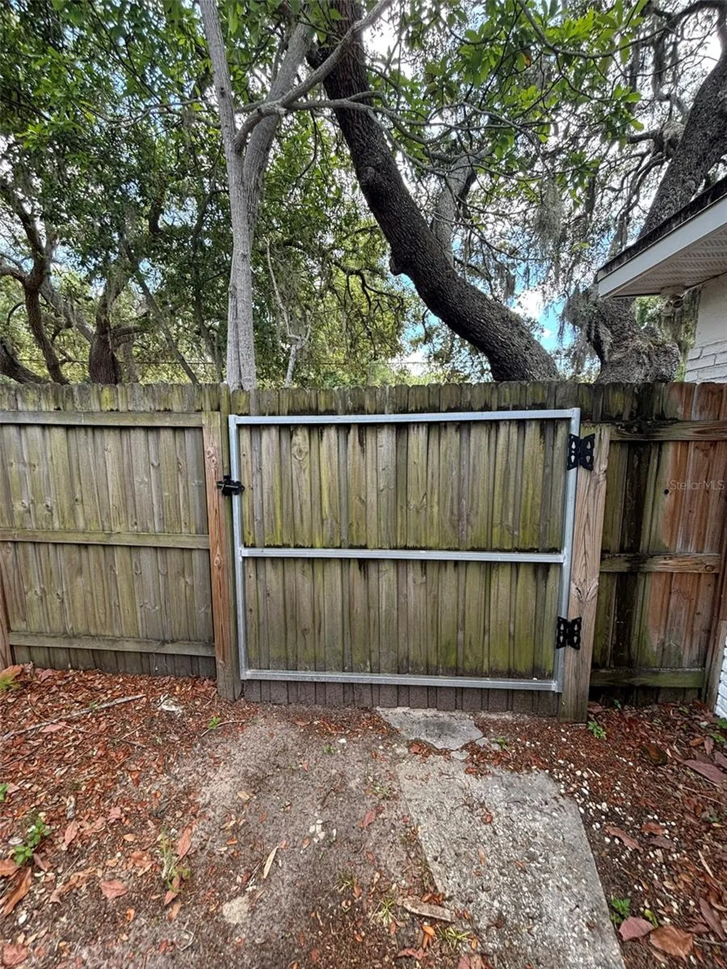2908 E Howell Street Tampa FL 33610