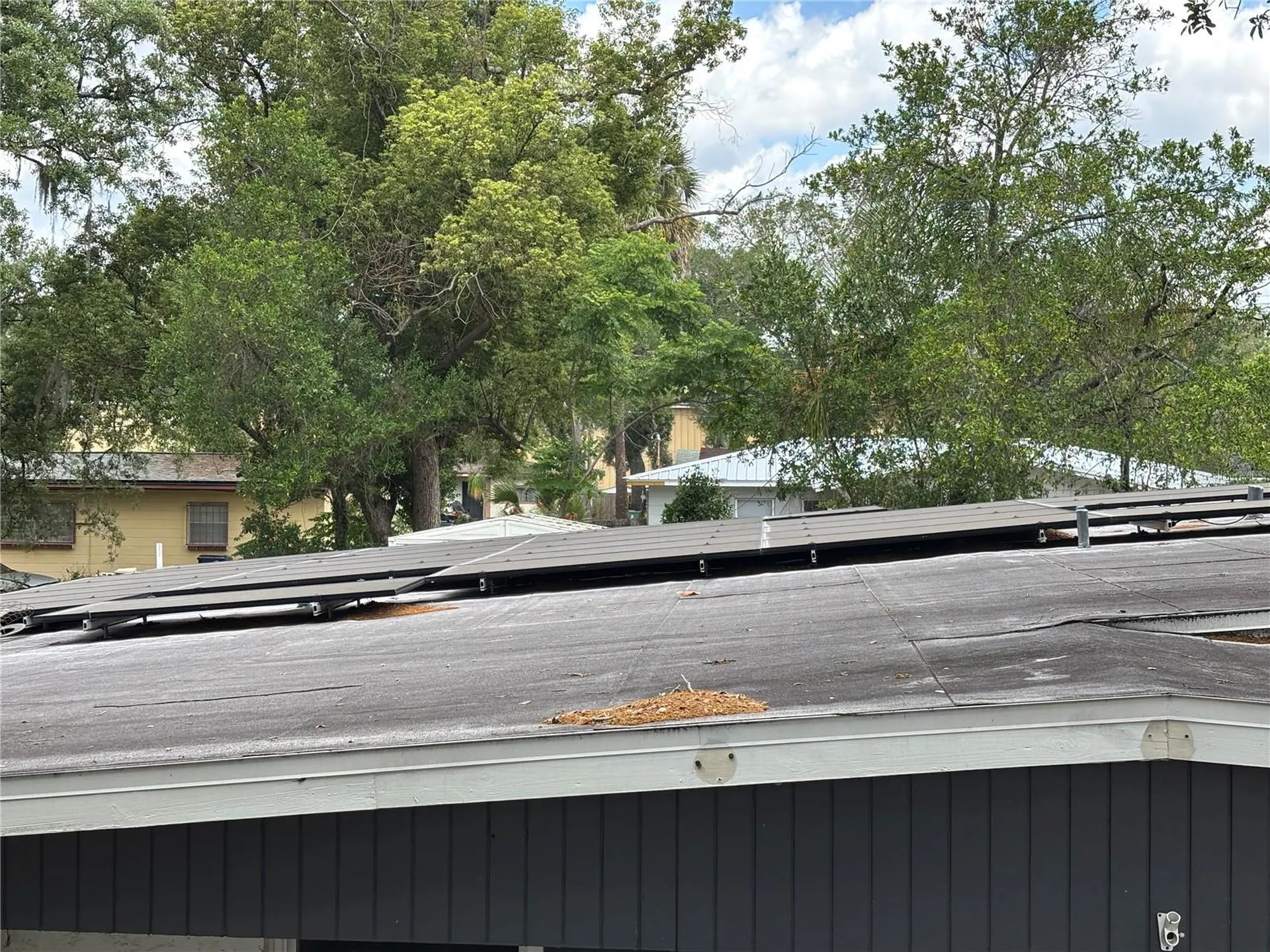 2908 E Howell Street Tampa FL 33610