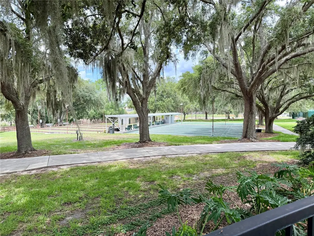 25510 Belle Alliance Leesburg FL 34748
