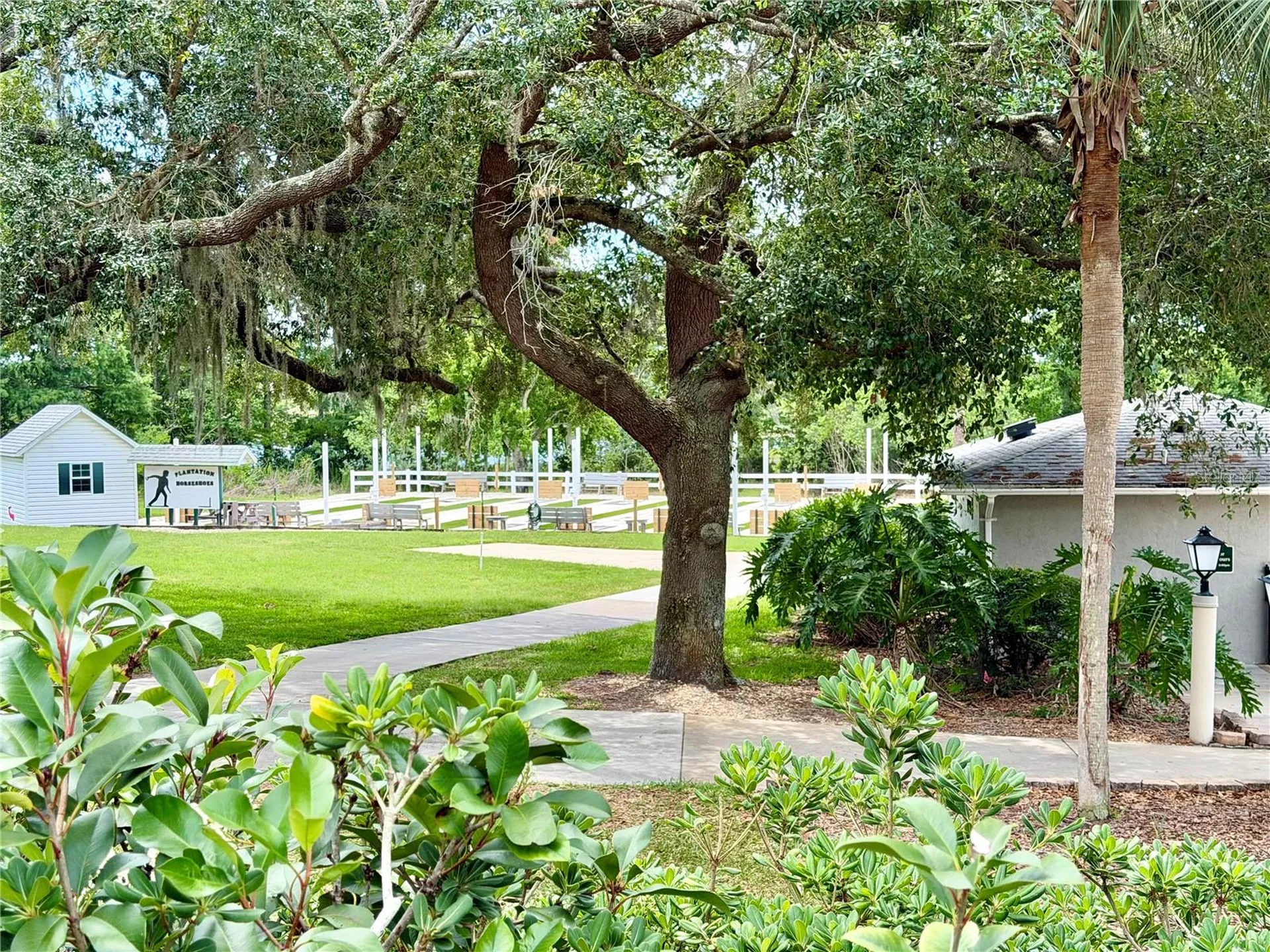 25510 Belle Alliance Leesburg FL 34748