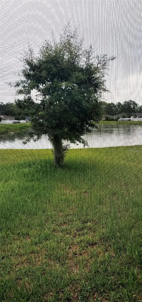 4592 Big Island Drive Kissimmee FL 34746