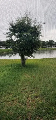 4592 Big Island Drive Kissimmee FL 34746