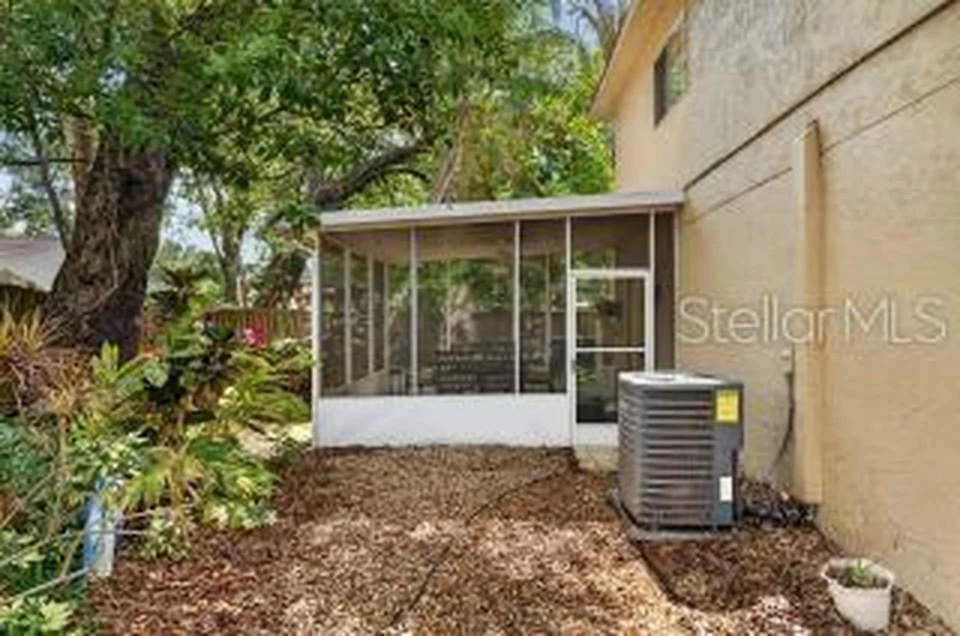 1311 W Carissa Court Tampa FL 33604