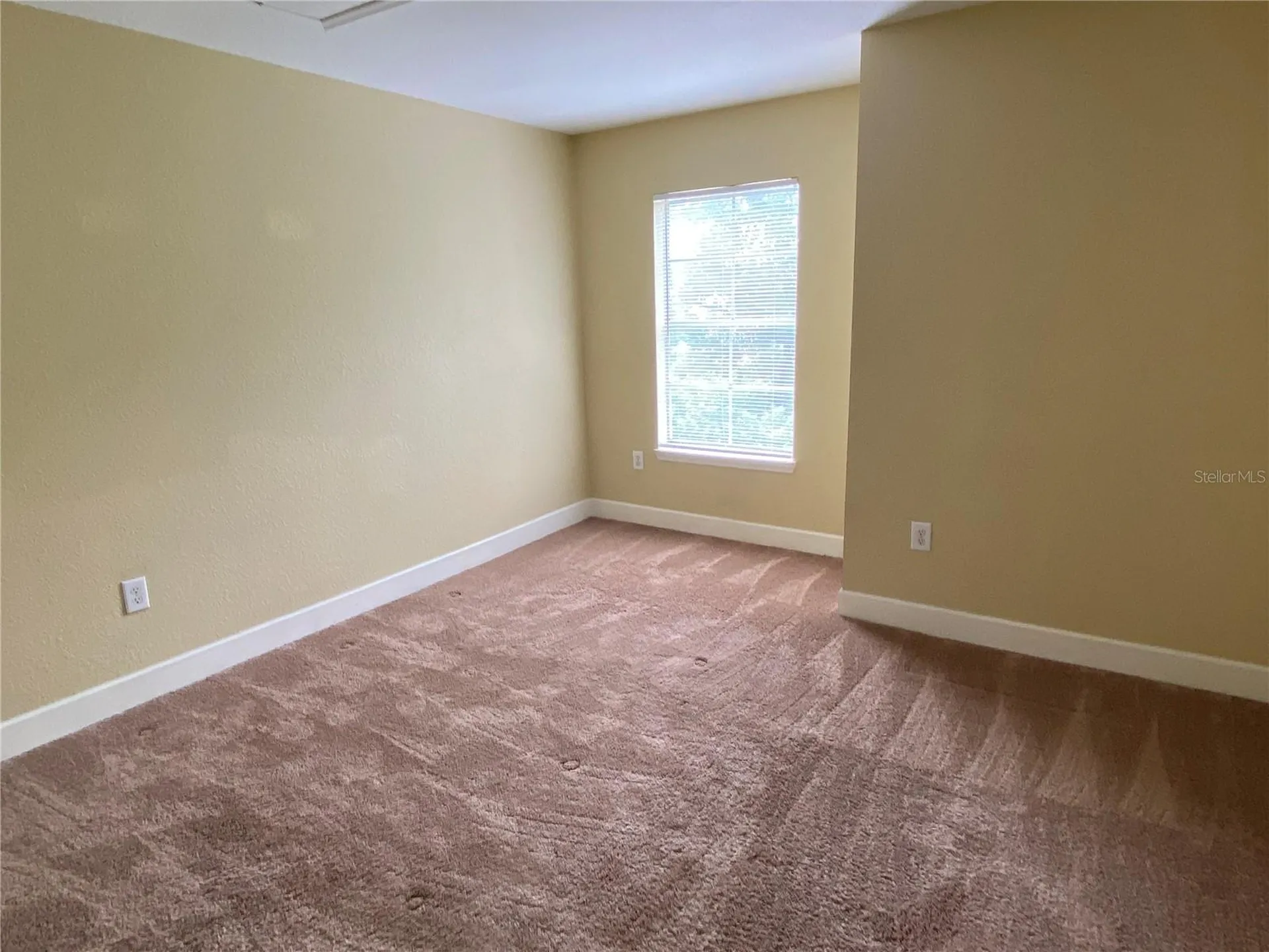 13212 Arbor Isle Drive Tampa FL 33637