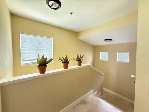 13212 Arbor Isle Drive Tampa FL 33637