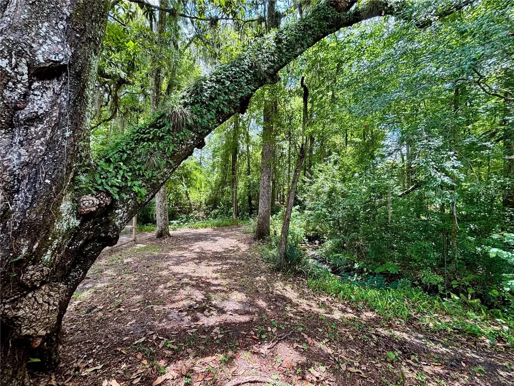 4415 NW 33rd Court Gainesville FL 32606