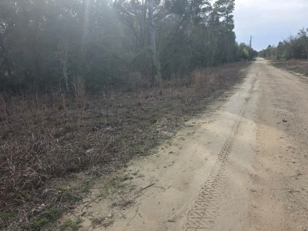 NE 60 Place Bronson FL 32621