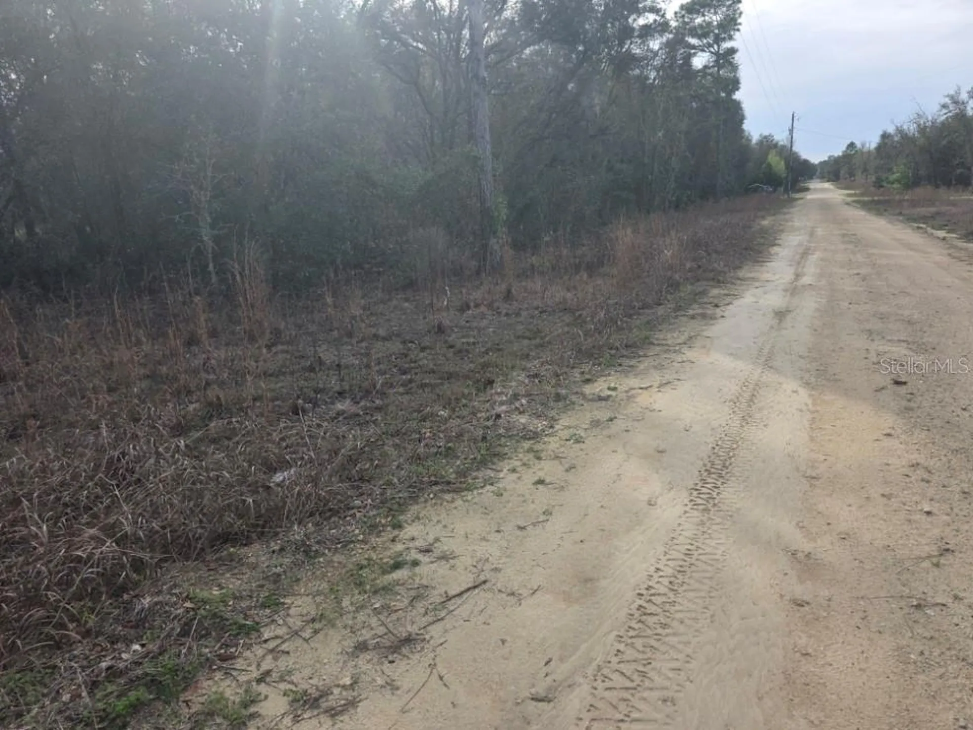 NE 60 Place Bronson FL 32621