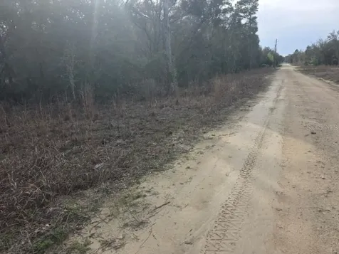 NE 60 Place Bronson FL 32621