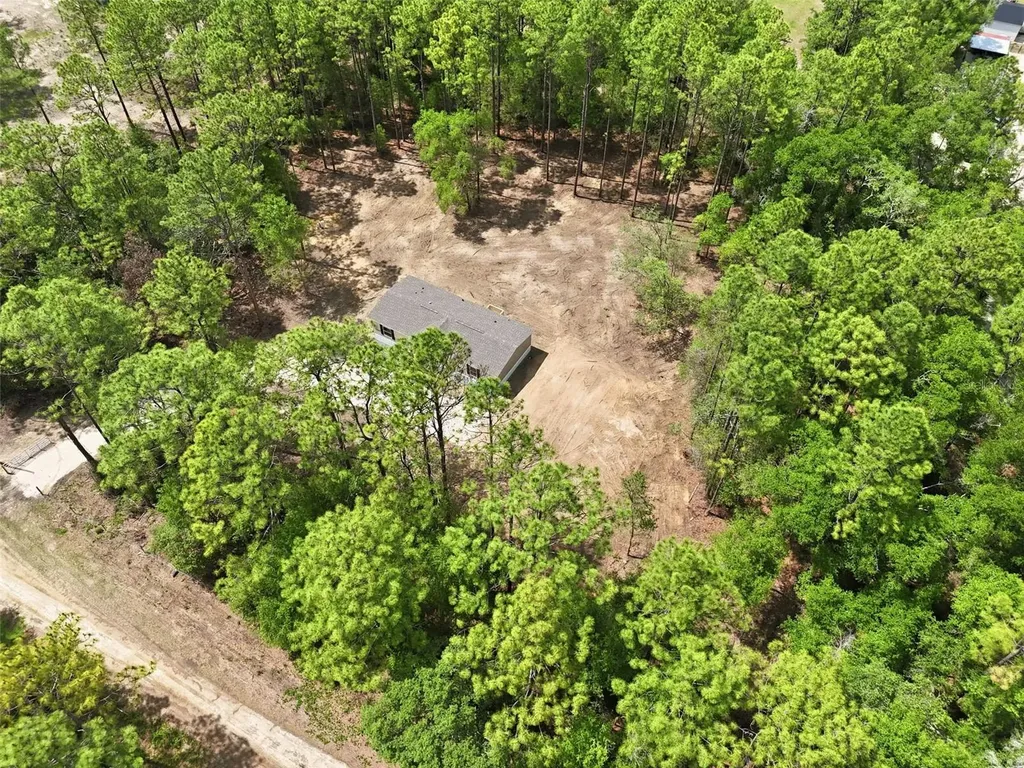 10451 NE 81st Street Bronson FL 32621