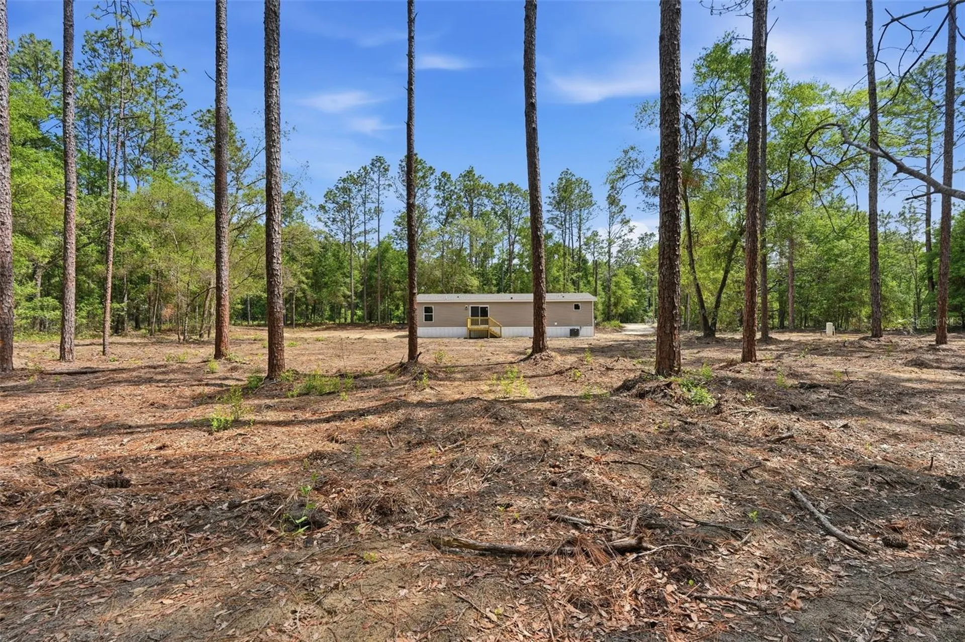 10451 NE 81st Street Bronson FL 32621
