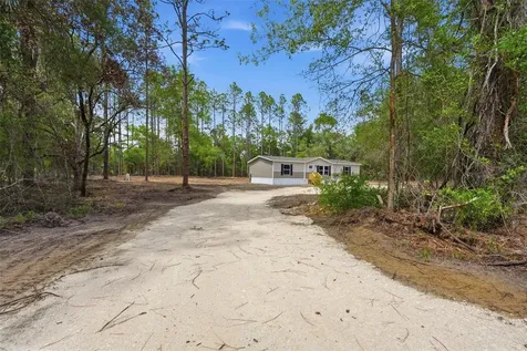 10451 NE 81st Street Bronson FL 32621