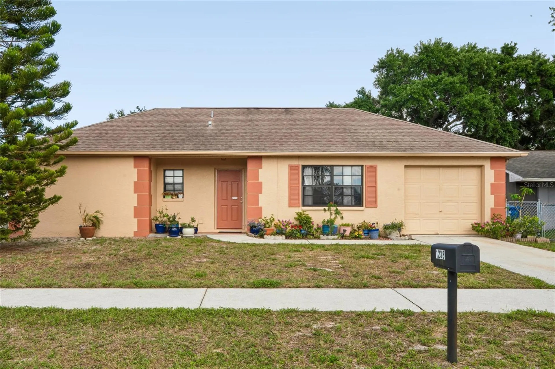 1238 Fuchsia Drive Holiday FL 34691