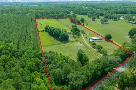 18585 N Highway 329 Reddick FL 32686
