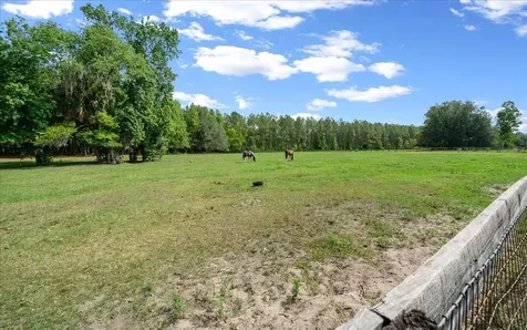 18585 N Highway 329 Reddick FL 32686