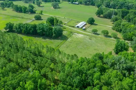 18585 N Highway 329 Reddick FL 32686