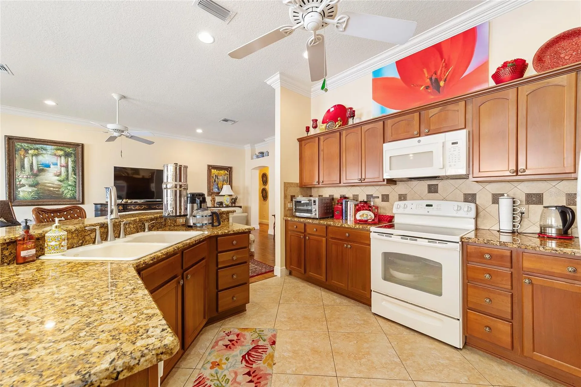 418 Flossmoor Court The Villages FL 32162