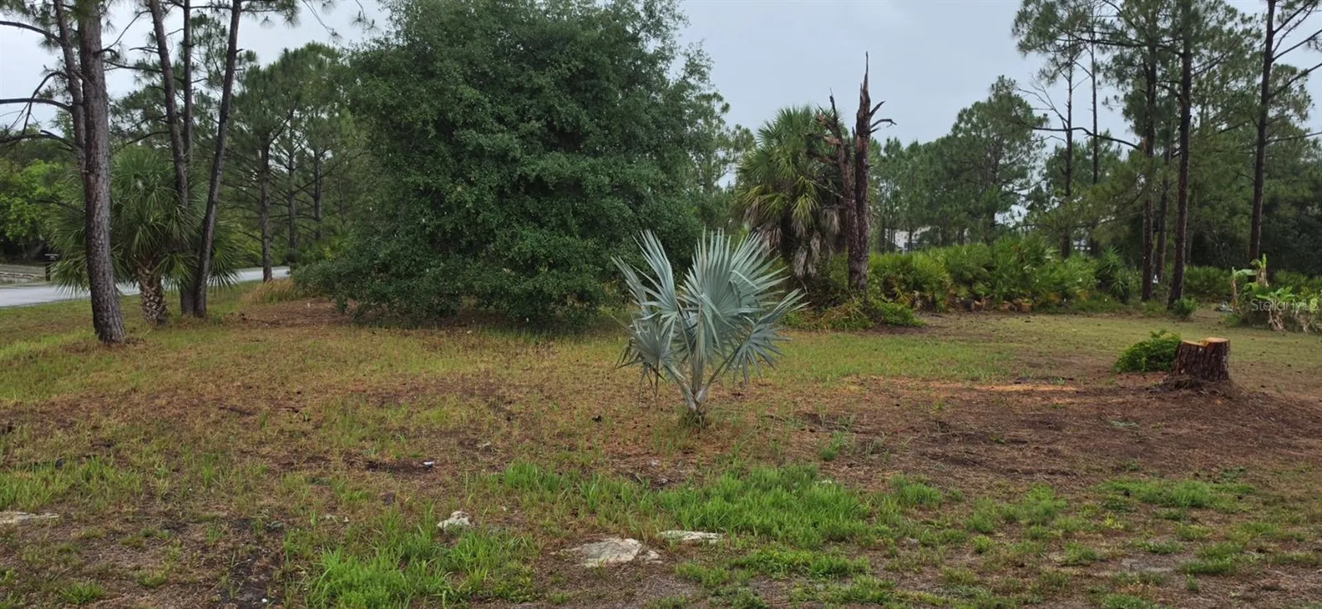 Perennial Road North Port FL 34291