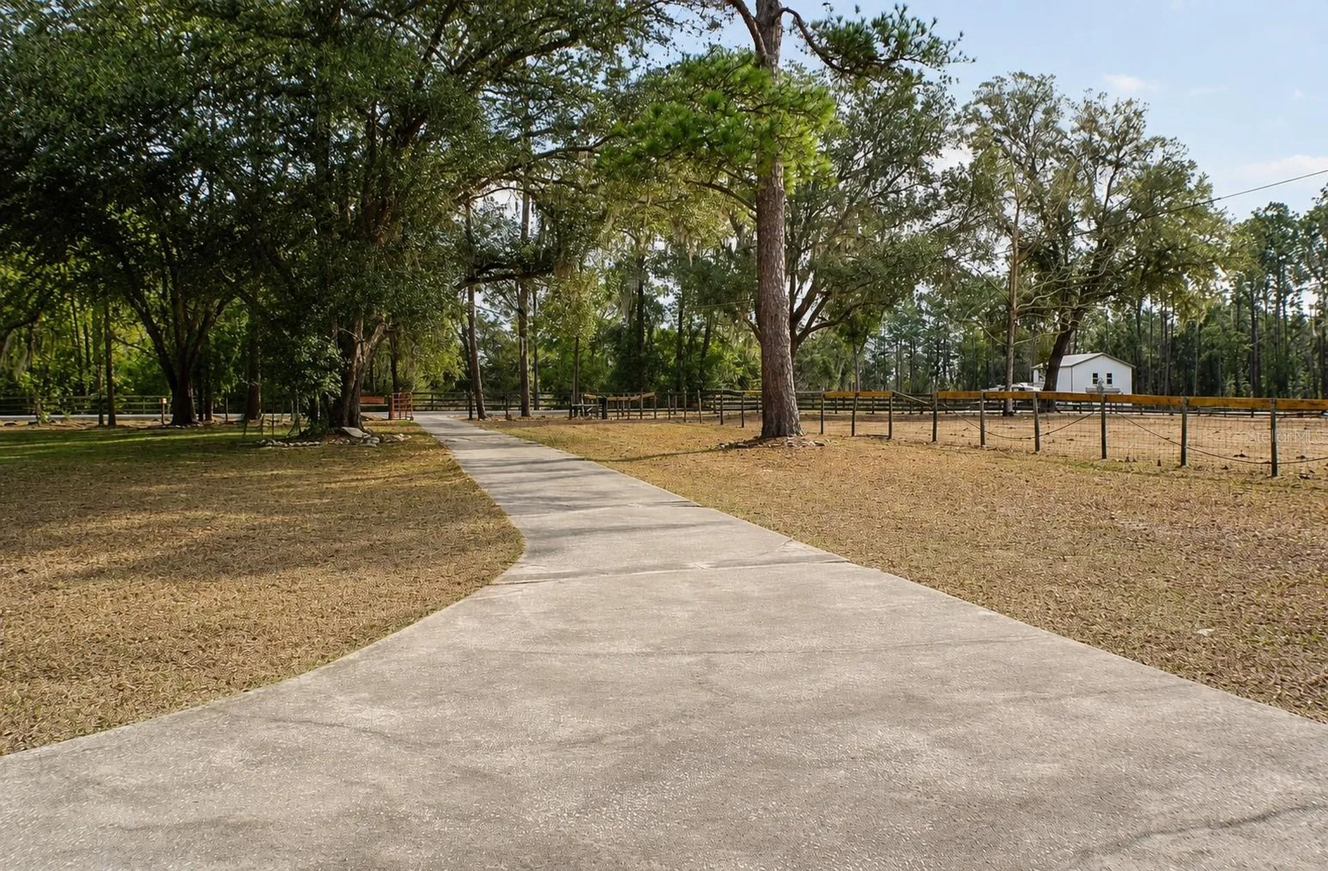 13124 NW 160th Avenue Morriston FL 32668