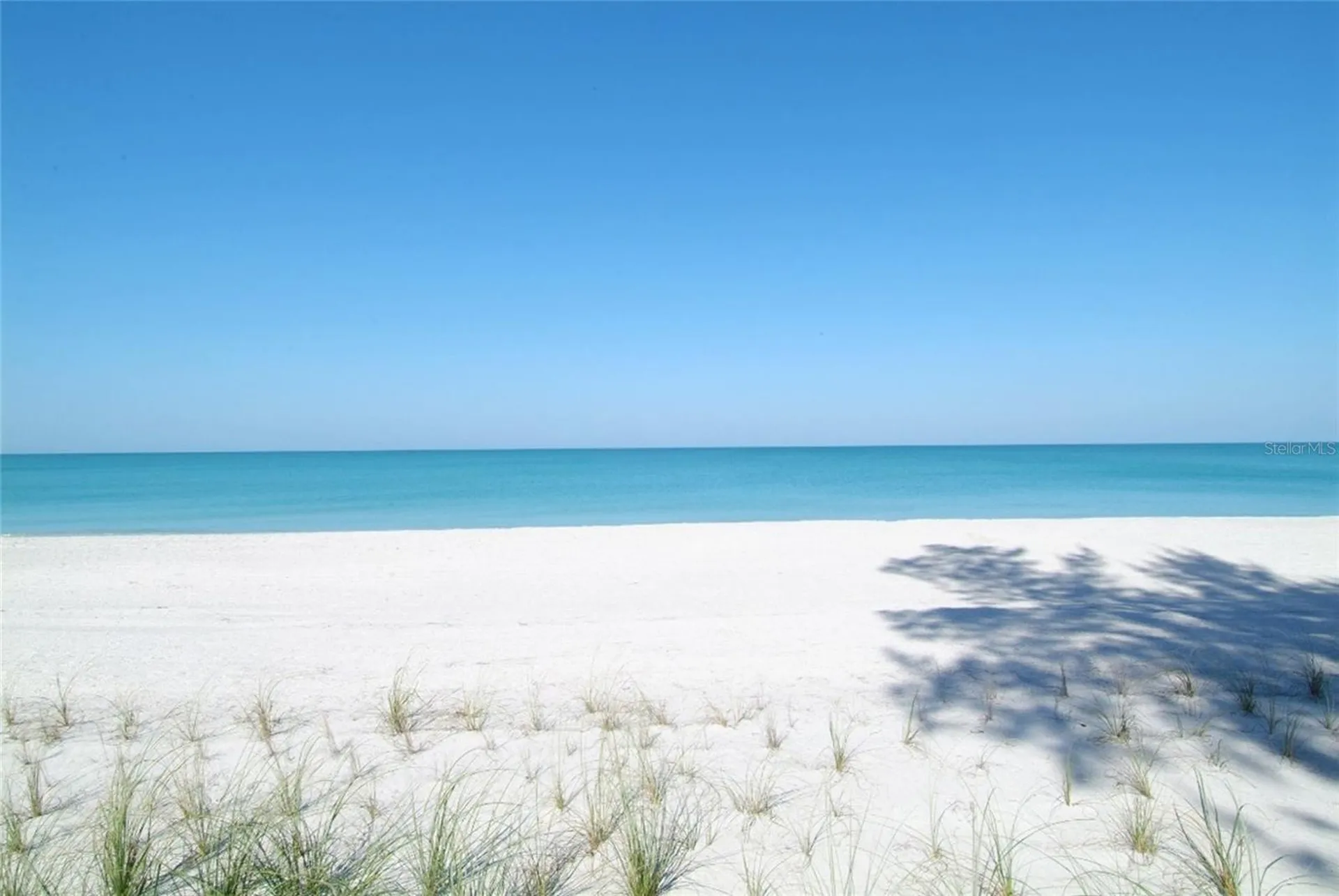 411 Burns Court Sarasota FL 34236