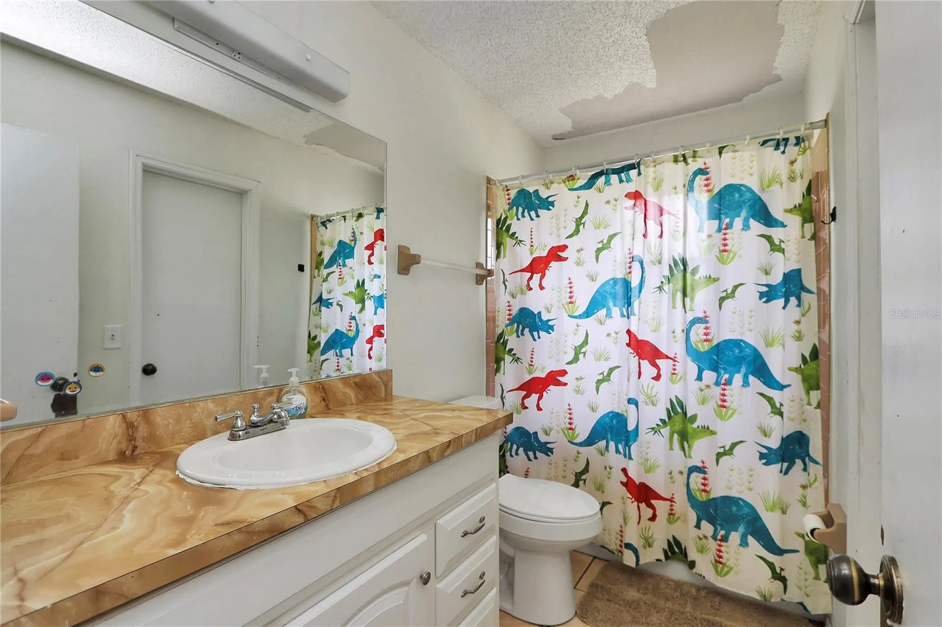 6042 NW 54th Terrace Ocala FL 34482