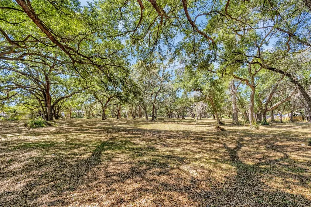 5501 N 37th Street Tampa FL 33610