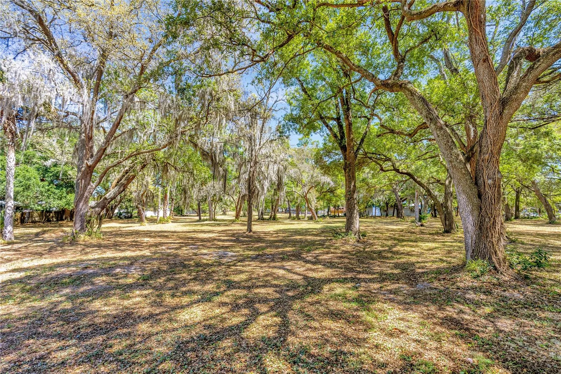 5501 N 37th Street Tampa FL 33610