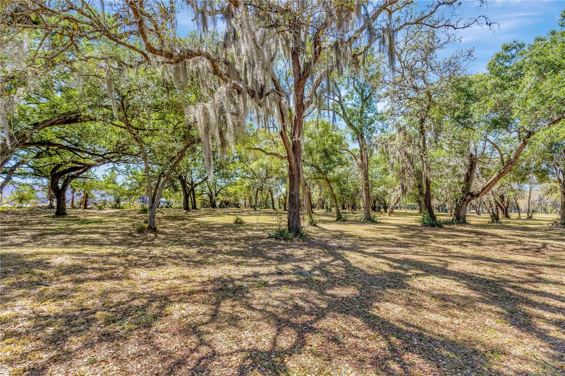 5501 N 37th Street Tampa FL 33610