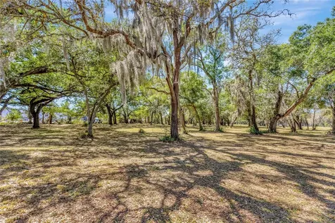 5501 N 37th Street Tampa FL 33610