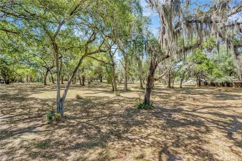 5501 N 37th Street Tampa FL 33610