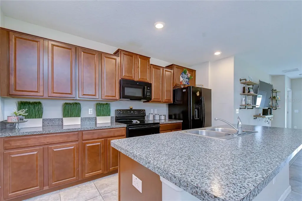 4321 Globe Thistle Drive Tampa FL 33619