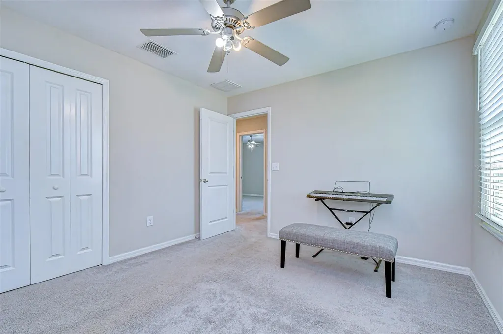 4321 Globe Thistle Drive Tampa FL 33619